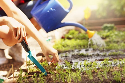 Operator preparing lawn mower for work on a residential lawn