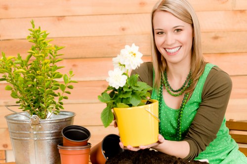 Eco-friendly lawn mowing practices being implemented